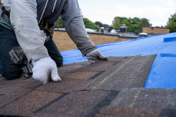 Best Roof Moss and Algae Removal  in Ddanelle, AR